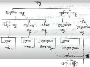 ১০ম শ্রেণির ২য় সপ্তাহের বিজ্ঞান অ্যাসাইনমেন্ট সমাধান ২০২২